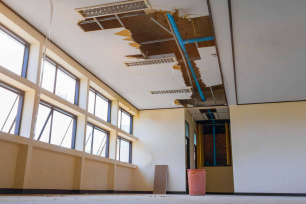 Best Ceiling water damage repair  in Redlands, CA