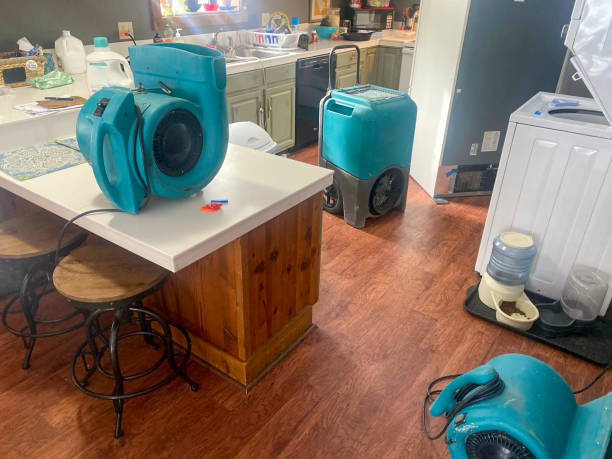 Best Water damage restoration near me  in Redlands, CA