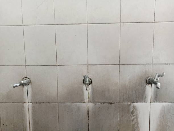Best Mold removal after water damage  in Redlands, CA